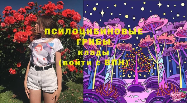 хмурый Новокубанск