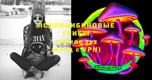 PSILOCYBIN Новодвинск