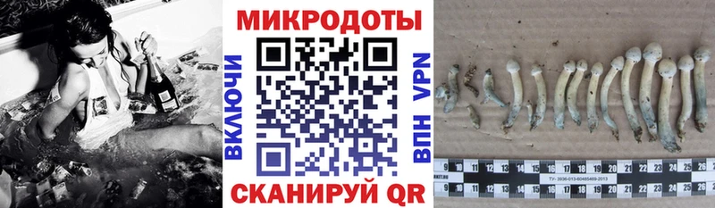 Галлюциногенные грибы MAGIC MUSHROOMS  Североморск 